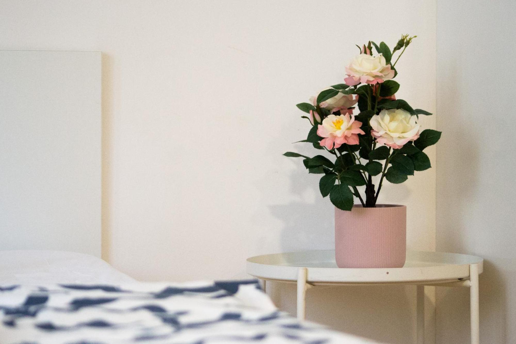 Apartament Apartman Vlna Brno Zewnętrze zdjęcie